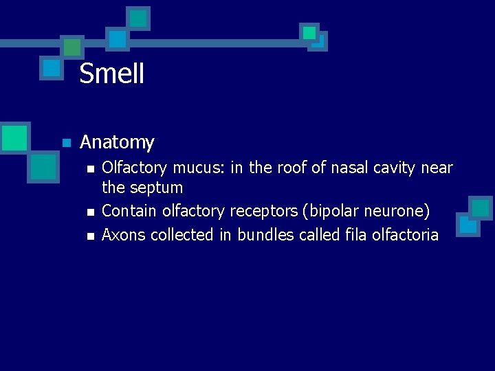 Smell n Anatomy n n n Olfactory mucus: in the roof of nasal cavity