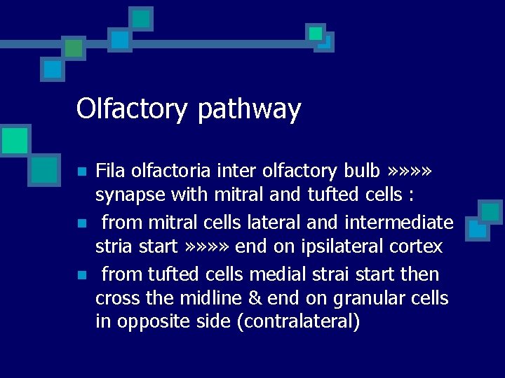 Olfactory pathway n n n Fila olfactoria inter olfactory bulb » » synapse with