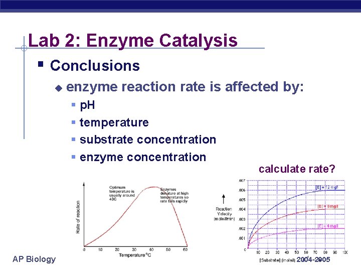 Lab 2: Enzyme Catalysis § Conclusions u enzyme reaction rate is affected by: §