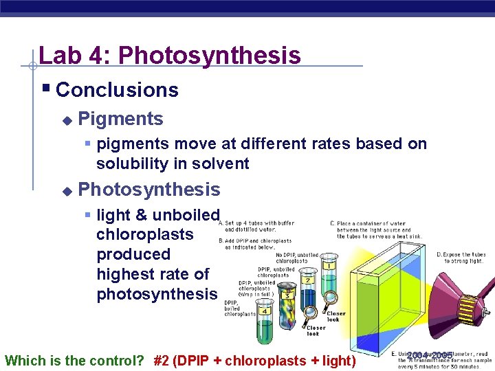 Lab 4: Photosynthesis § Conclusions u Pigments § pigments move at different rates based