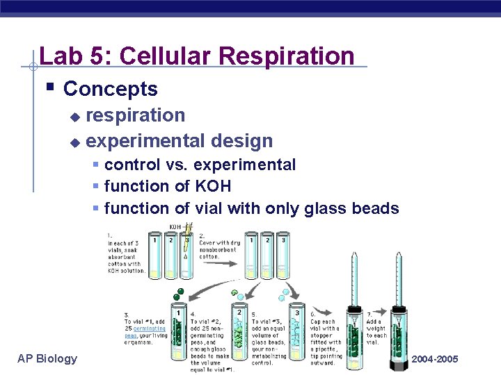 Lab 5: Cellular Respiration § Concepts respiration u experimental design u § control vs.