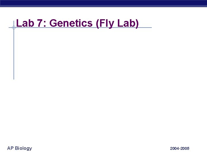 Lab 7: Genetics (Fly Lab) AP Biology 2004 -2005 