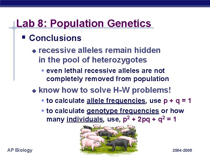 Lab 8: Population Genetics § Conclusions u recessive alleles remain hidden in the pool