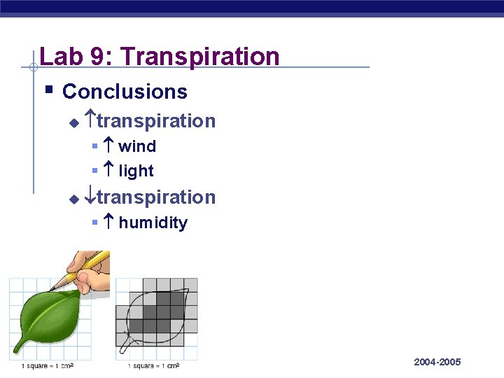 Lab 9: Transpiration § Conclusions u transpiration § wind § light u transpiration §