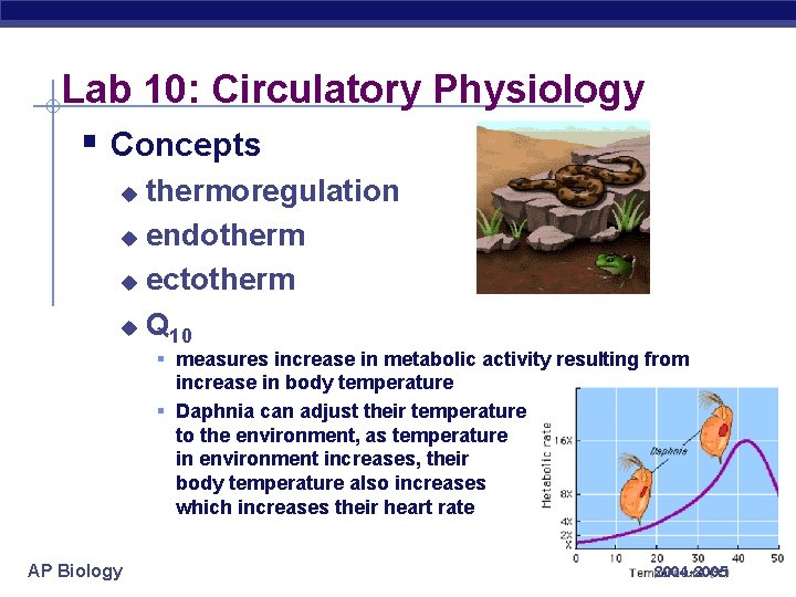 Lab 10: Circulatory Physiology § Concepts thermoregulation u endotherm u ectotherm u Q 10