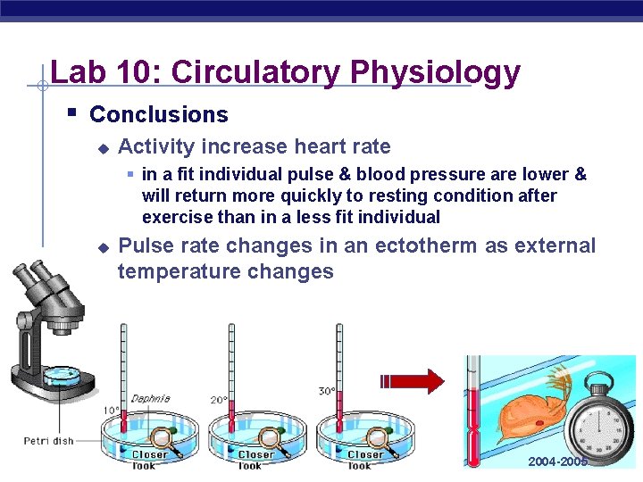 Lab 10: Circulatory Physiology § Conclusions u Activity increase heart rate § in a