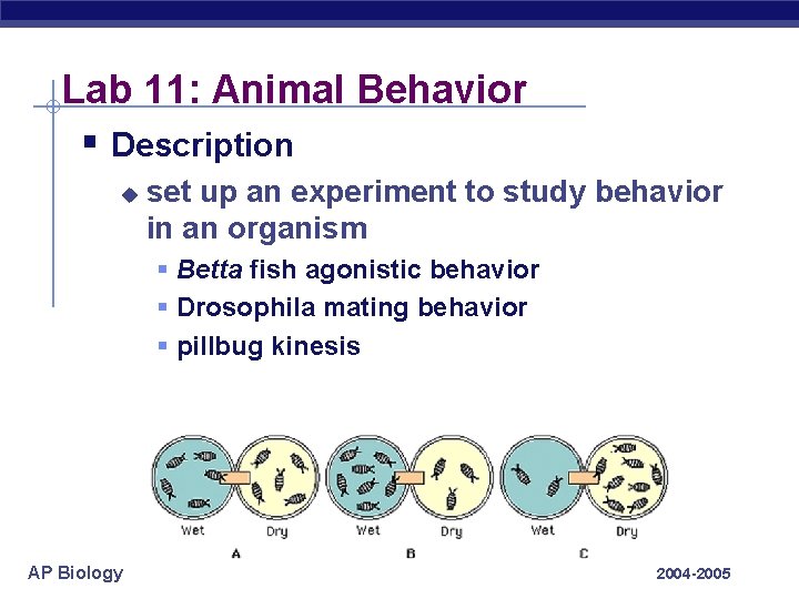 Lab 11: Animal Behavior § Description u set up an experiment to study behavior