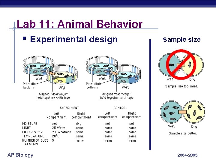 Lab 11: Animal Behavior § Experimental design AP Biology sample size 2004 -2005 