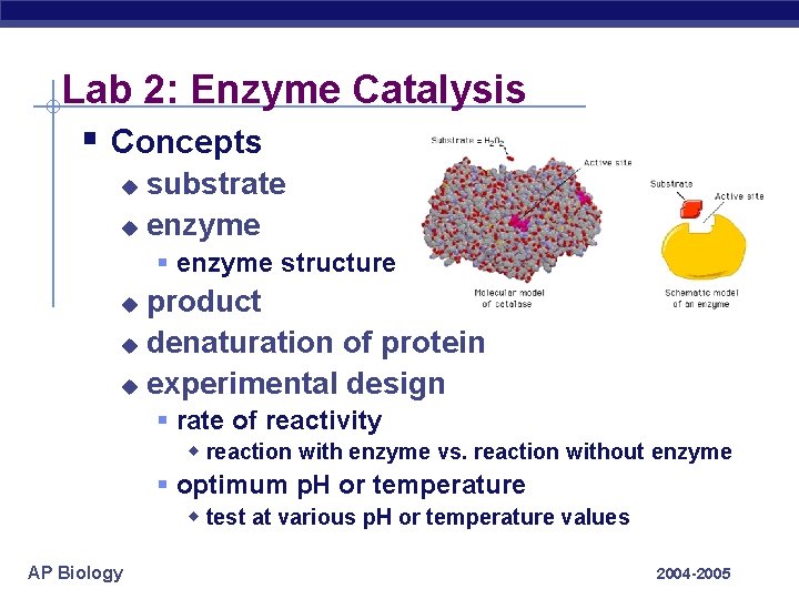Lab 2: Enzyme Catalysis § Concepts substrate u enzyme u § enzyme structure product