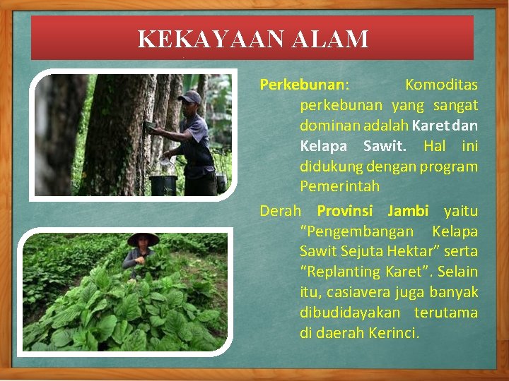 KEKAYAAN ALAM Perkebunan: Komoditas perkebunan yang sangat dominan adalah Karet dan Kelapa Sawit. Hal