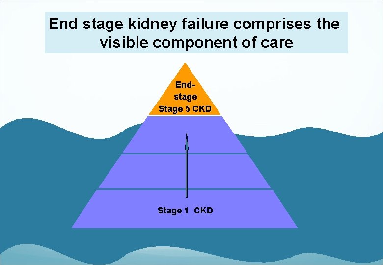 End stage kidney failure comprises the visible component of care Endstage Stage 5 CKD