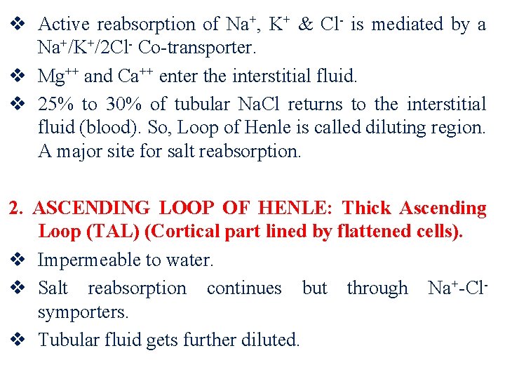 v Active reabsorption of Na+, K+ & Cl- is mediated by a Na+/K+/2 Cl-