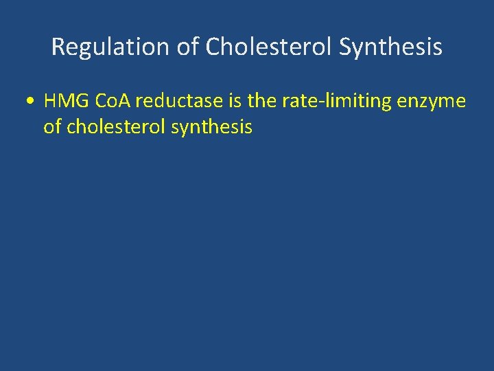 Regulation of Cholesterol Synthesis • HMG Co. A reductase is the rate-limiting enzyme of