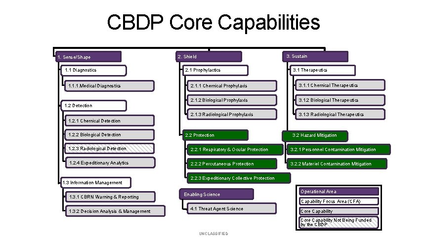 CBDP Core Capabilities 1. Sense/Shape 1. 1 Diagnostics 1. 1. 1. Medical Diagnostics 3.