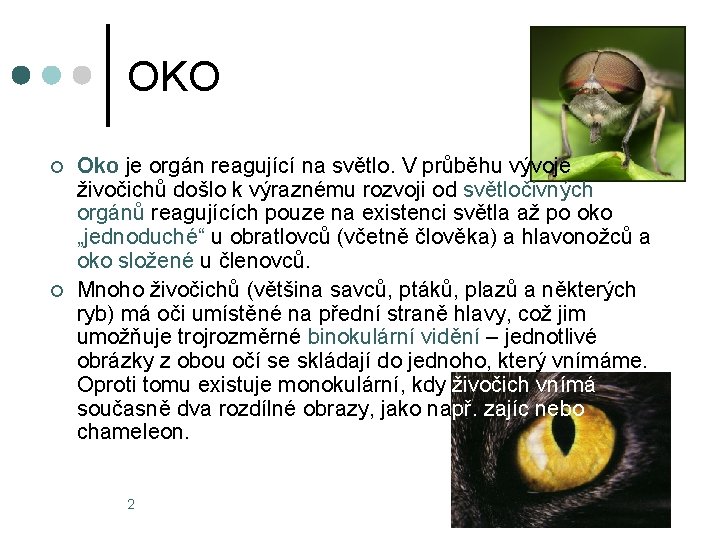 OKO ¢ ¢ Oko je orgán reagující na světlo. V průběhu vývoje živočichů došlo