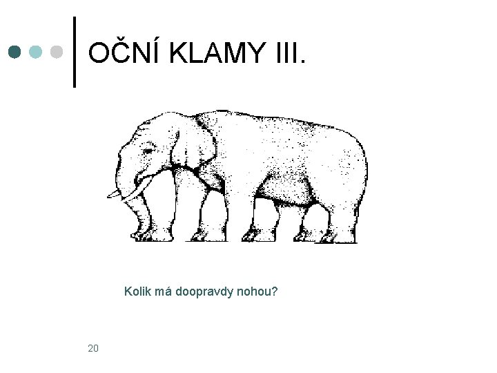 OČNÍ KLAMY III. Kolik má doopravdy nohou? 20 