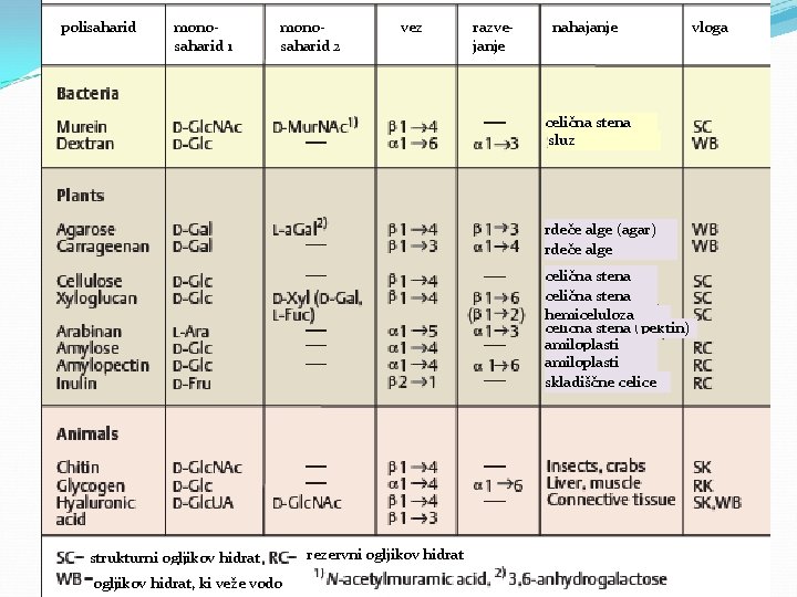 polisaharid monosaharid 1 monosaharid 2 vez razvejanje nahajanje celična stena sluz rdeče alge (agar)