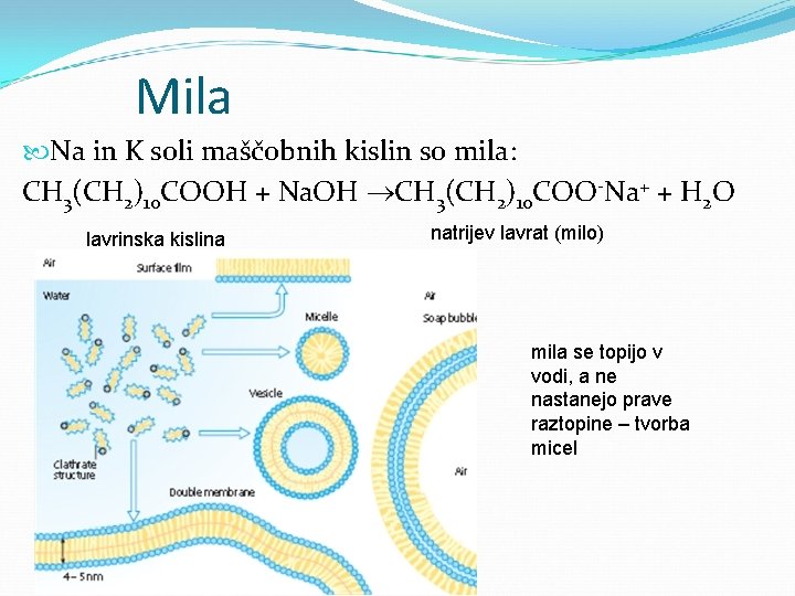 Mila Na in K soli maščobnih kislin so mila: CH 3(CH 2)10 COOH +