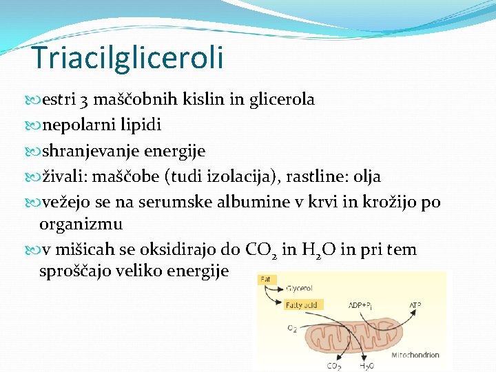 Triacilgliceroli estri 3 maščobnih kislin in glicerola nepolarni lipidi shranjevanje energije živali: maščobe (tudi