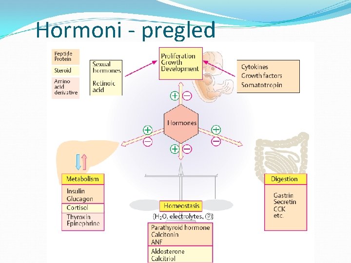 Hormoni - pregled 