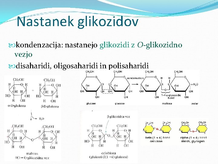 Nastanek glikozidov kondenzacija: nastanejo glikozidi z O-glikozidno vezjo disaharidi, oligosaharidi in polisaharidi 