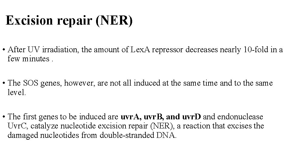 Excision repair (NER) • After UV irradiation, the amount of Lex. A repressor decreases