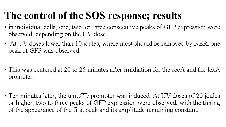 The control of the SOS response; results • in individual cells, one, two, or