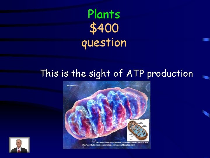 Plants $400 question This is the sight of ATP production 