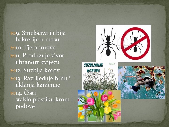  9. Smekšava i ubija bakterije u mesu 10. Tjera mrave 11. Produžuje život