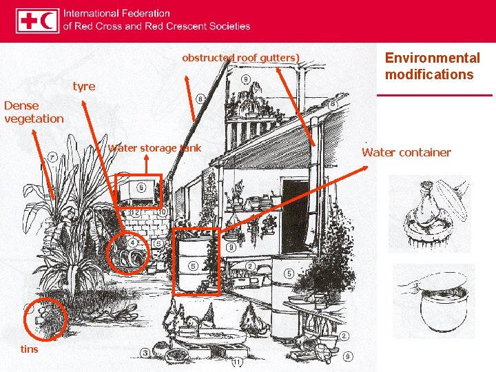 obstructed roof gutters) tyre Environmental modifications Dense vegetation Water storage tank tins Water container