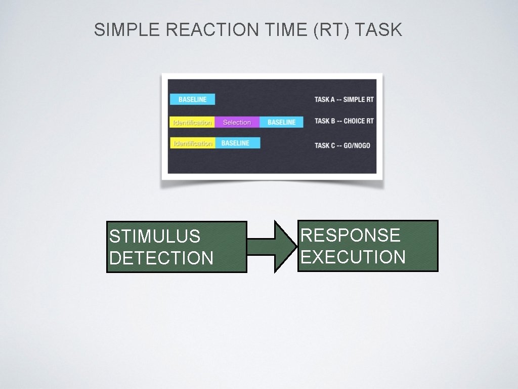 SIMPLE REACTION TIME (RT) TASK STIMULUS DETECTION RESPONSE EXECUTION 