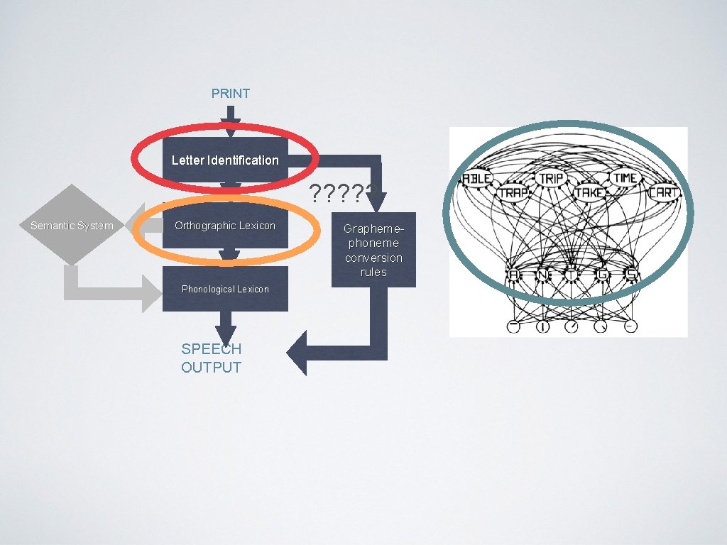 PRINT Letter Identification ? ? ? Semantic System Orthographic Lexicon Phonological Lexicon SPEECH OUTPUT