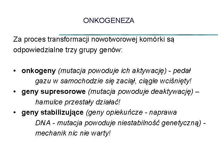 ONKOGENEZA Za proces transformacji nowotworowej komórki są odpowiedzialne trzy grupy genów: • onkogeny (mutacja