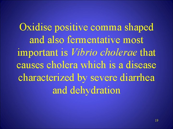 Oxidise positive comma shaped and also fermentative most important is Vibrio cholerae that causes