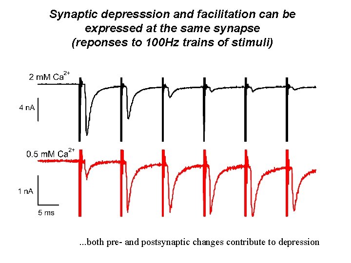 Synaptic depresssion and facilitation can be expressed at the same synapse (reponses to 100