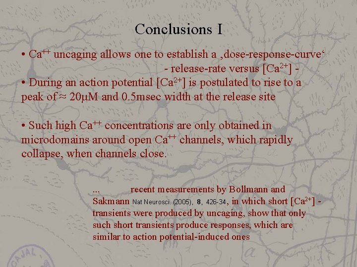 Conclusions I • Ca++ uncaging allows one to establish a ‚dose-response-curve‘ - release-rate versus