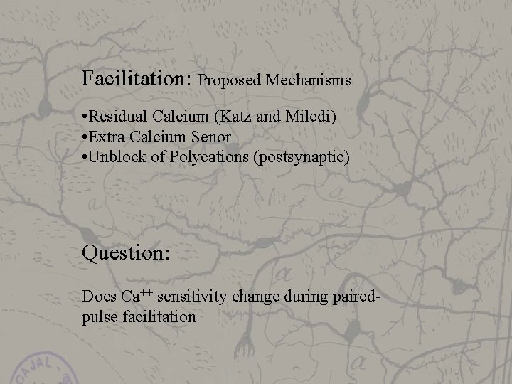 Facilitation: Proposed Mechanisms • Residual Calcium (Katz and Miledi) • Extra Calcium Senor •