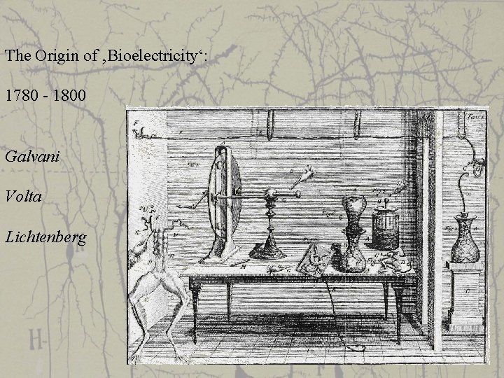 The Origin of ‚Bioelectricity‘: 1780 - 1800 Galvani Volta Lichtenberg 