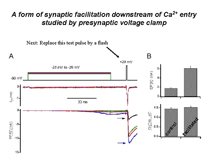 A form of synaptic facilitation downstream of Ca 2+ entry studied by presynaptic voltage