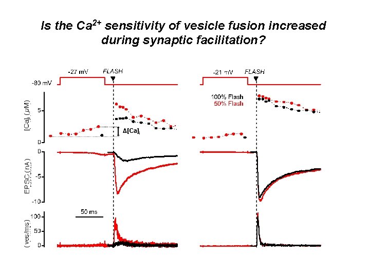 Is the Ca 2+ sensitivity of vesicle fusion increased during synaptic facilitation? Δ[Ca]i 