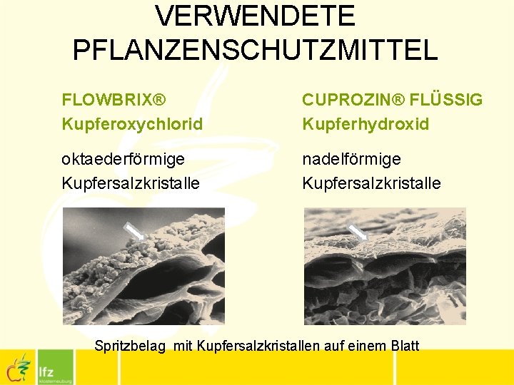 VERWENDETE PFLANZENSCHUTZMITTEL FLOWBRIX® Kupferoxychlorid CUPROZIN® FLÜSSIG Kupferhydroxid oktaederförmige Kupfersalzkristalle nadelförmige Kupfersalzkristalle Spritzbelag mit Kupfersalzkristallen