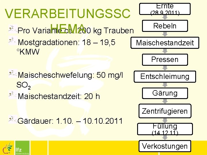 VERARBEITUNGSSC HEMA Pro Variante ca. 200 kg Trauben Mostgradationen: 18 – 19, 5 °KMW