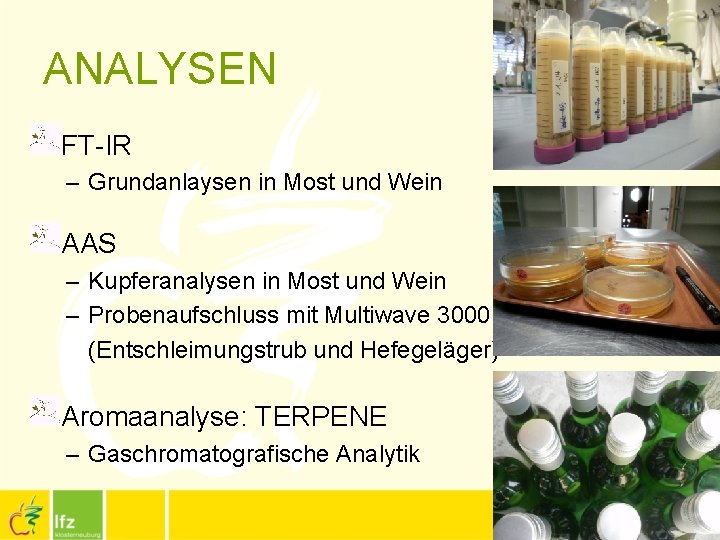 ANALYSEN FT-IR – Grundanlaysen in Most und Wein AAS – Kupferanalysen in Most und