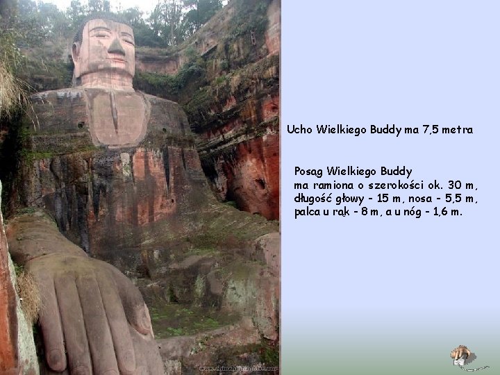 Ucho Wielkiego Buddy ma 7, 5 metra Posąg Wielkiego Buddy ma ramiona o szerokości