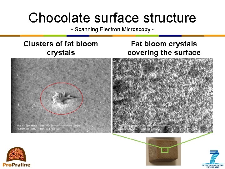 Chocolate surface structure - Scanning Electron Microscopy - Clusters of fat bloom crystals Fat