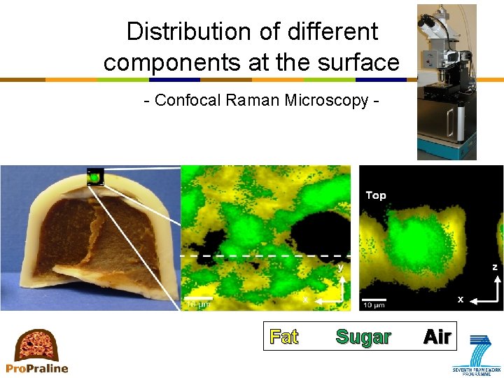 Distribution of different components at the surface - Confocal Raman Microscopy - Fat Sugar