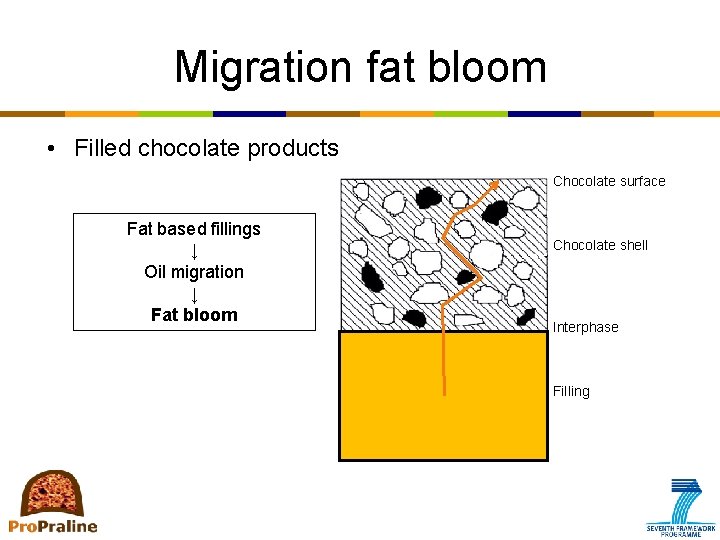 Migration fat bloom • Filled chocolate products Chocolate surface Fat based fillings ↓ Oil