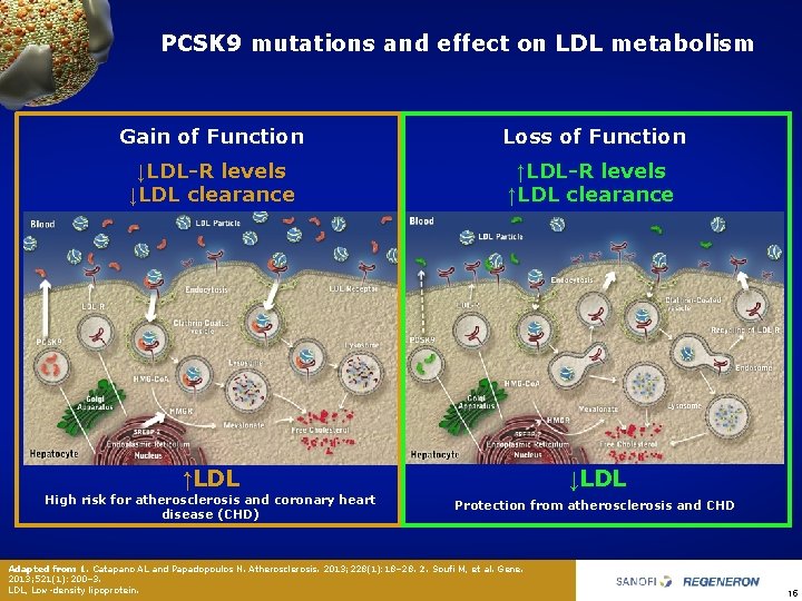 PCSK 9 mutations and effect on LDL metabolism Gain of Function Loss of Function