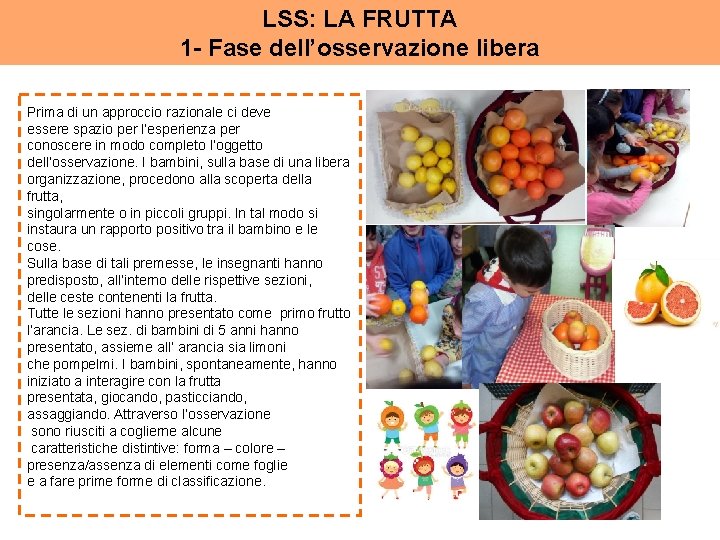 LSS: LA FRUTTA 1 - Fase dell’osservazione libera Prima di un approccio razionale ci