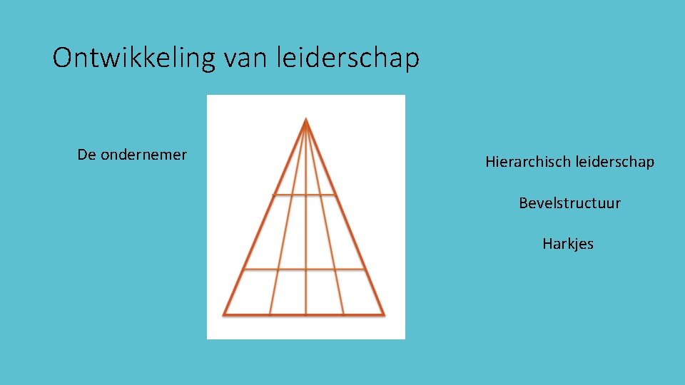 Ontwikkeling van leiderschap De ondernemer Hierarchisch leiderschap Bevelstructuur Harkjes 